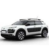 C4 CACTUS 2014 - 2018