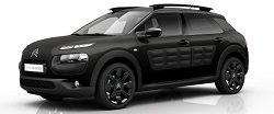 C4 Cactus