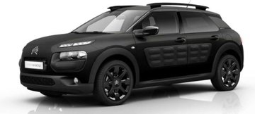 C4 Cactus 2014 - 2018