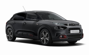 C4 Cactus 2018 - heden