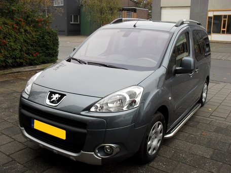 Citroen Berlingo vanaf 2008 Sidebars 60 mm met RVS trede